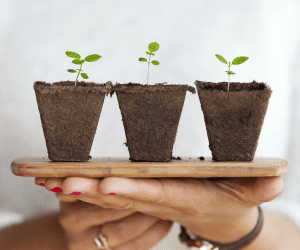 Five key tips to encourage new growth in your HR business